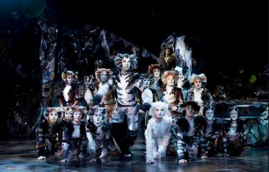 CATS - The Musical, Ronacher, Schedule & Tickets