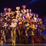 Cats the Musical' is a purrfect evening out for broadway fans