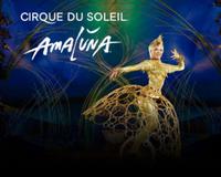 Sacramento hosting Cirque du Soleil's Amaluna through March 1, 2020
