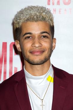 Dove Cameron and Jordan Fisher to Star in HBO Max Movie 'Field