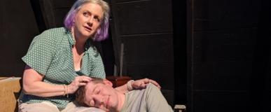 Timothy Busfield in Safe Home at Shadowland Stages