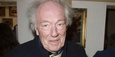 Sir Michael Gambon obituary, Michael Gambon