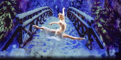 THE NUTCRACKER A SHORTER TALE, Saint Louis Ballet