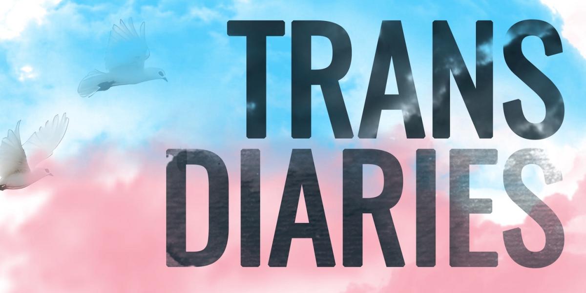 Diversionary Theatre to Present THE TRANS DIARIES  Image