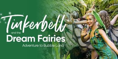 English Dub Review: Fairy gone Fellow Traveler - Bubbleblabber