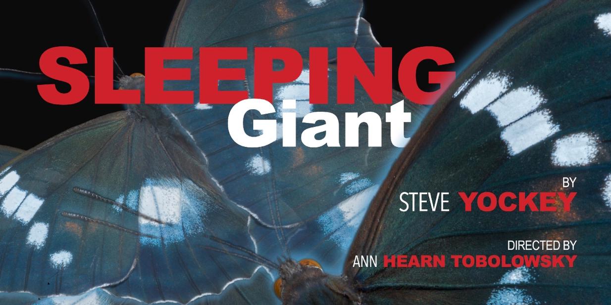 SLEEPING GIANT Comes to The Road Theatre Company  Image