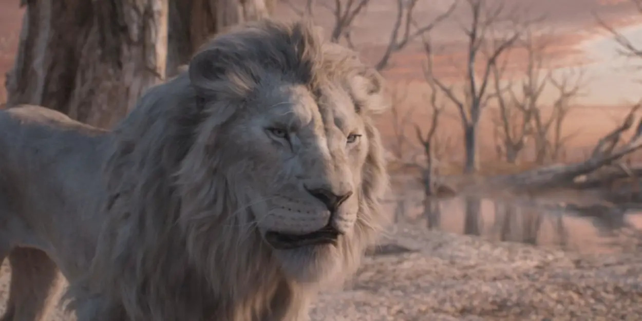 Video: 'Bye Bye' Musical Sequence From Disney's MUFASA: THE LION KING