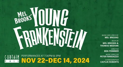 YOUNG FRANKENSTEIN show poster