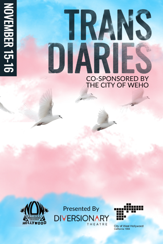 Trans Diaries show poster