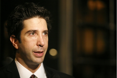 lavoro al naso di David Schwimmer