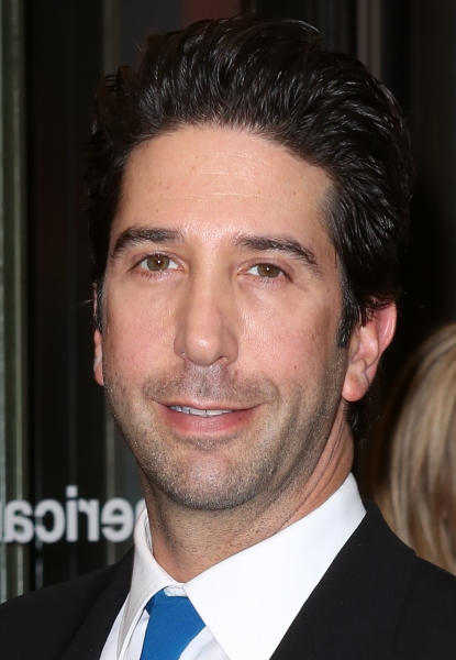 lavoro al naso di David Schwimmer