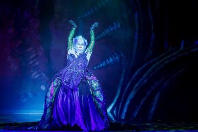 Broadway's 'Cats comes to Fort Lauderdale's Broward Center