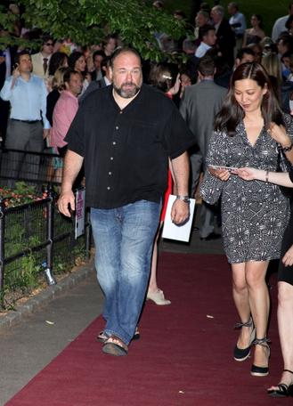 james gandolfini wife